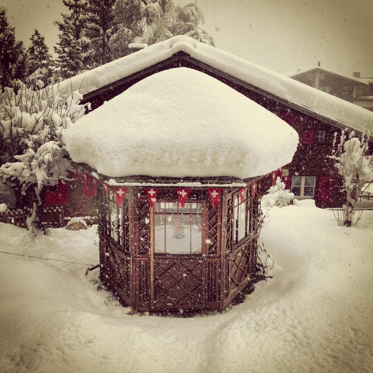 Hotel Caprice - Grindelwald Exteriér fotografie