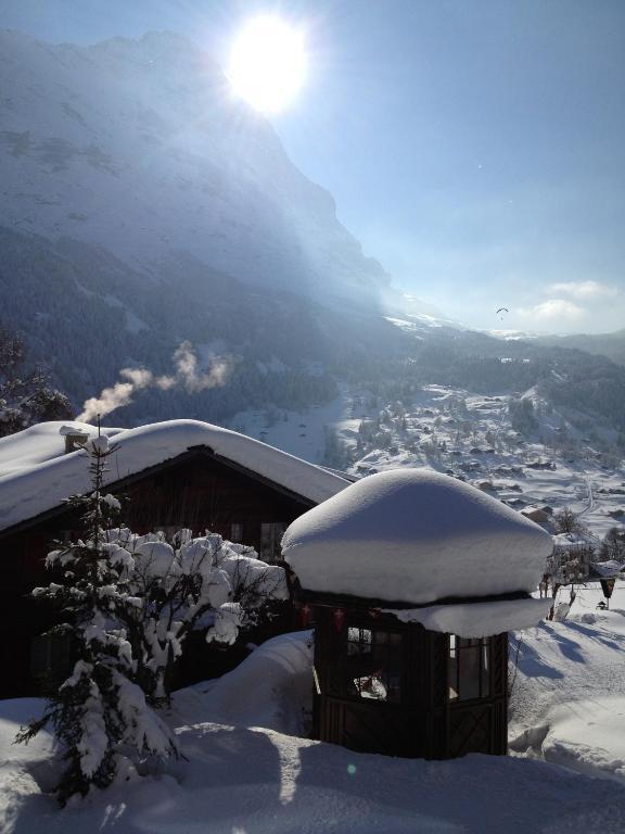 Hotel Caprice - Grindelwald Exteriér fotografie